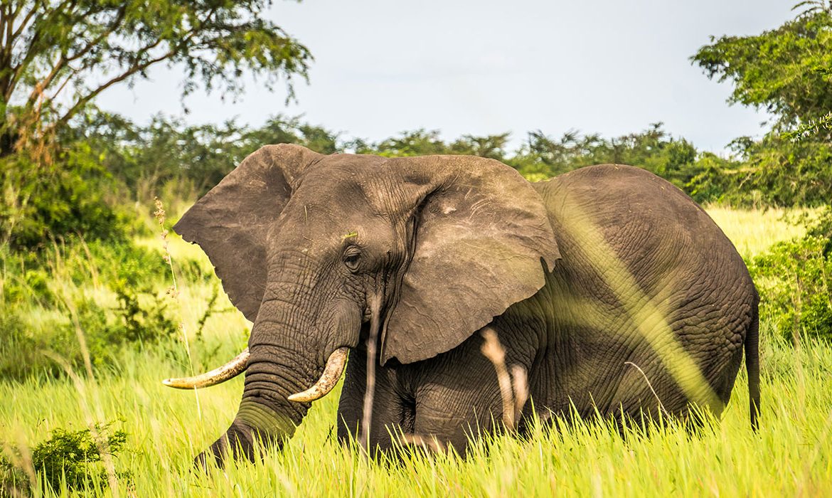 Lake Mburo National Park